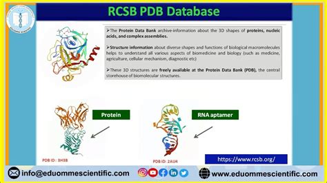 euttuve|RCSB PDB.